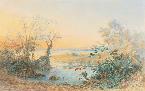 Lago De Valencia, Venezuela (1882)