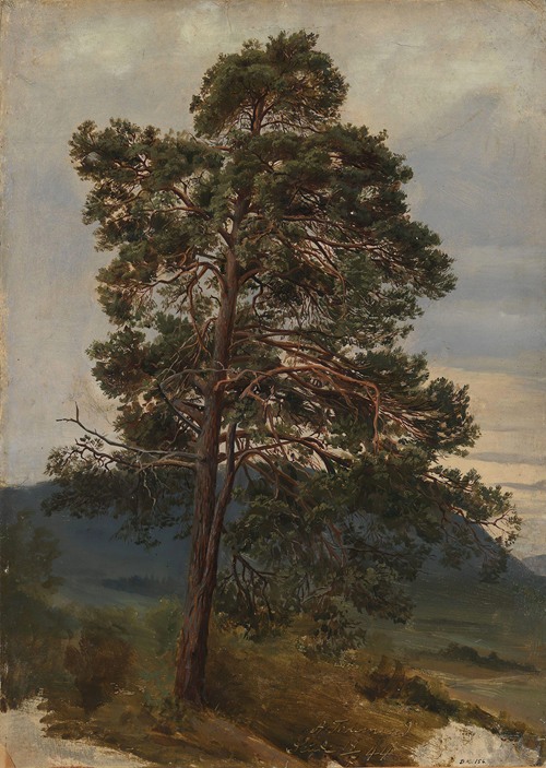 Study of a Pine Tree (1844)