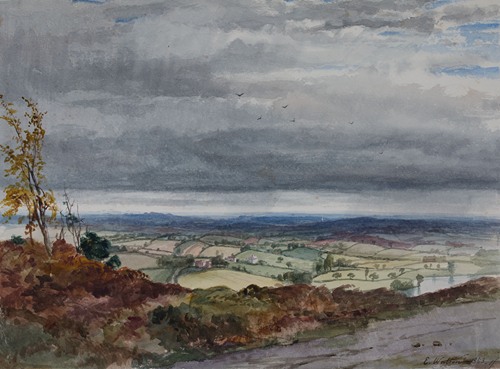 Low Hill From Cofton Hill