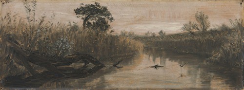 De høje Rør med de svaje, bløde Duske, og de Siv […], og de krogede Ellestammer og Buskene langs Aaen