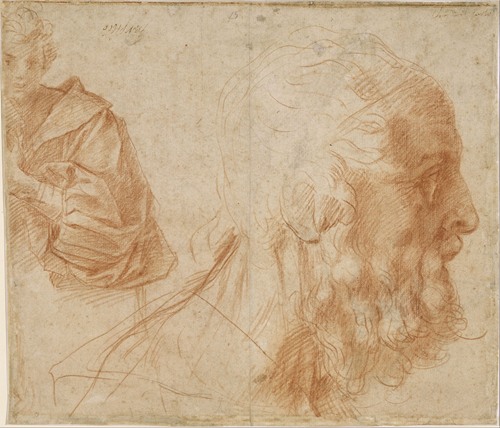 Sheet of studies with a youth and the head of an old man looking to the right