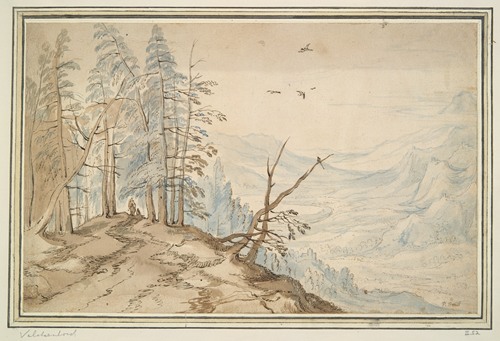 View in a Valley from the Edge of a Mountain Road
