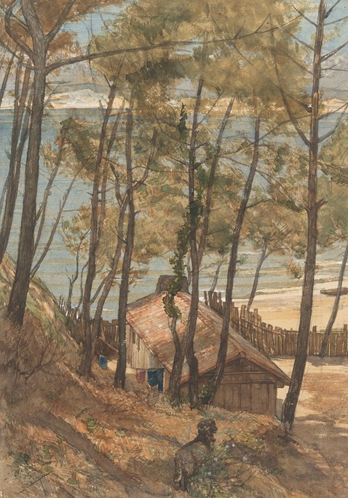 Gezicht vanaf een heuvel op een huisje aan de golf van Arcachon