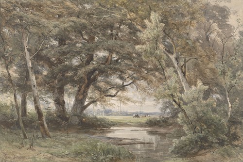 Watertje onder bomen aan het einde van een bos