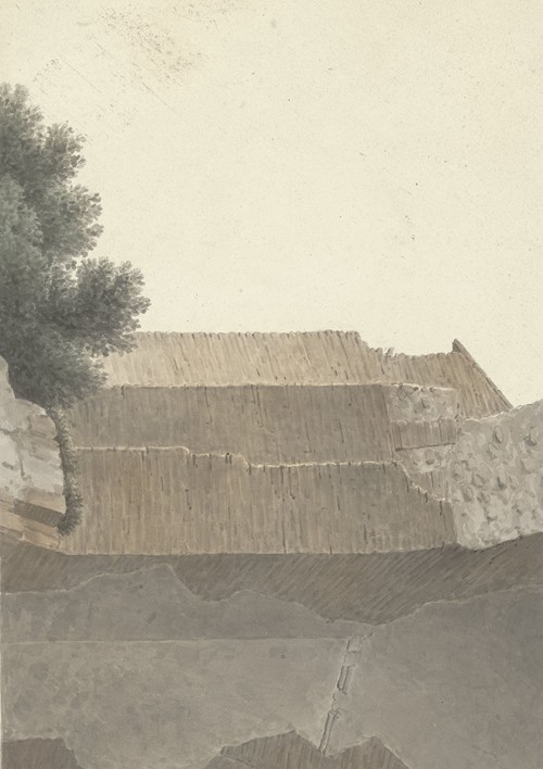 Part of the Vault of the Temple of Minerva Medica in Rome