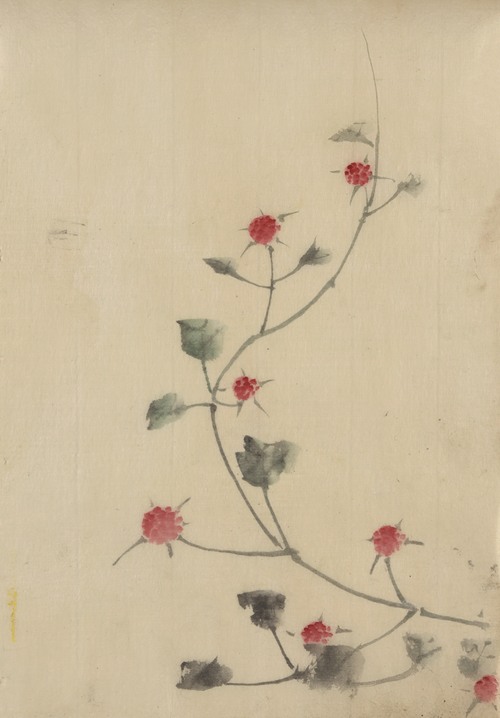Small red blossoms on a vine (1830-1850)