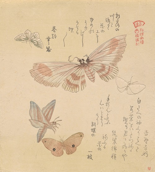 Butterflies and moths, from the series A Flock of Butterflies (Gunchō Gafu)