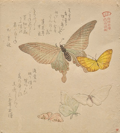 The Painting Manual of Flock of Butterflies (Gunchō Gafu) II (1810s)