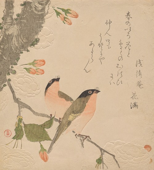 Two Bullfinches on a Double-Petalled Cherry Tree (Uso ni Yae-zakura)