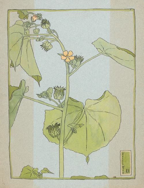 Velvet Weed (circa 1915)