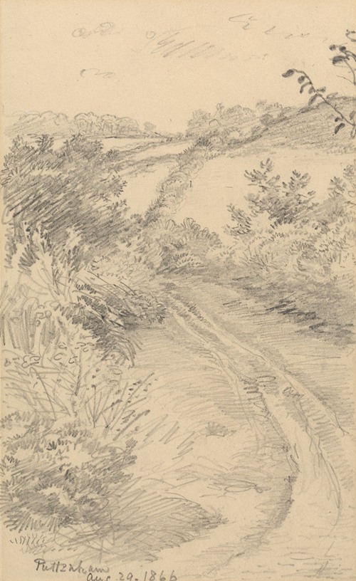 A Bushy Lane with a Field Beyond