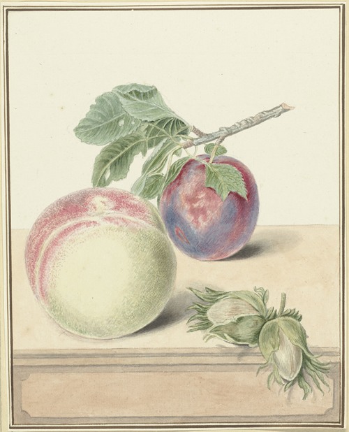 Perzik, een pruim met blad en een paar noten, after Michiel van Huysum