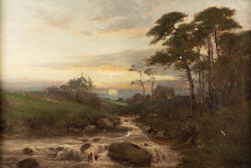 Stream by the pine forest at sunset