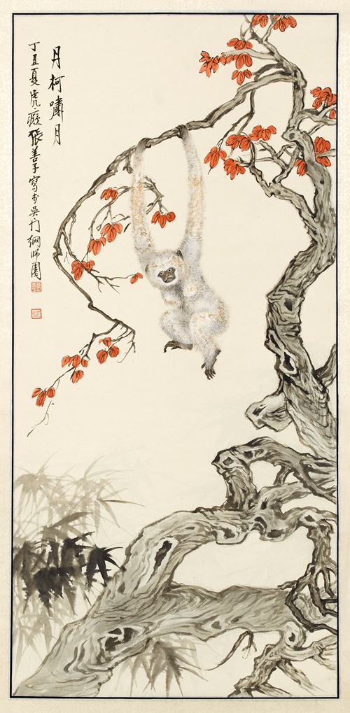 Singe blanc