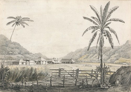 A View of Hall-head Sugar Plantation, Jamaica