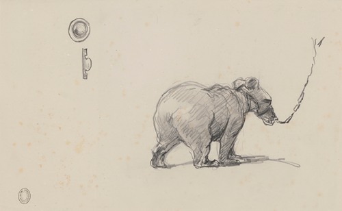 Bear