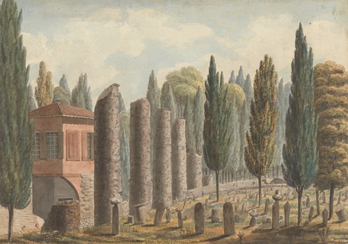 Burial Ground Surrounded by Ruined Columns and Pinetrees….Turkey