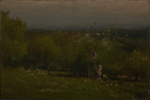 Apple Orchard