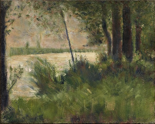 Grassy Riverbank