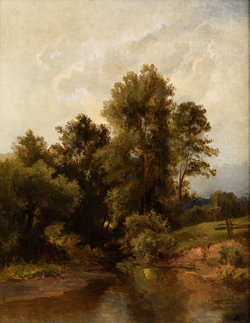 Woodland scenery by a riverbank