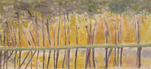 Reflet sur l’eau d’une haie d’arbres sous une lumière de couchant