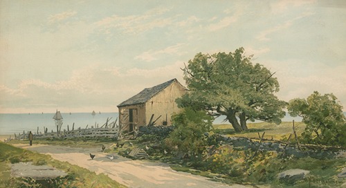 The road to the shore