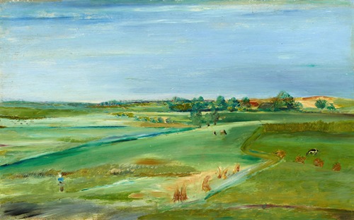 Landschaft mit Feldern
