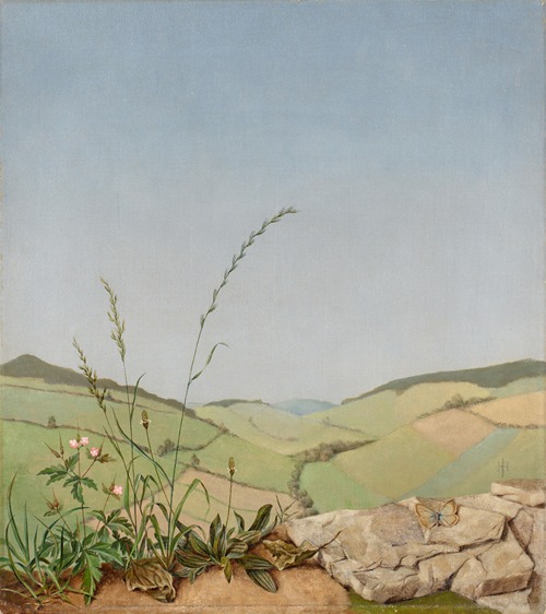 Weite Landschaft im Frühling
