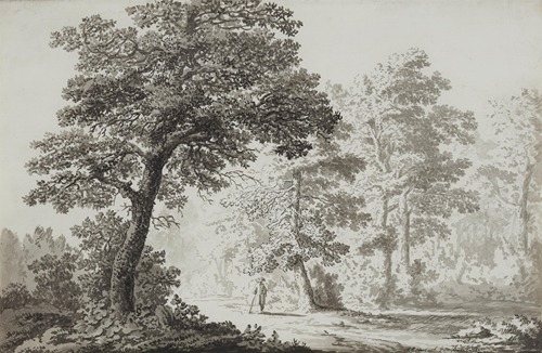Wanderer auf Rügen