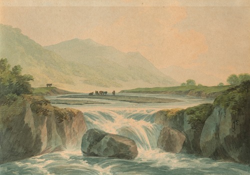 A waterfall on the River Rheidol, with cattle in the distance, North Wales