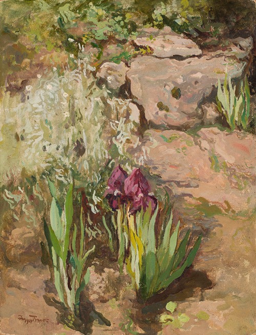 Irises