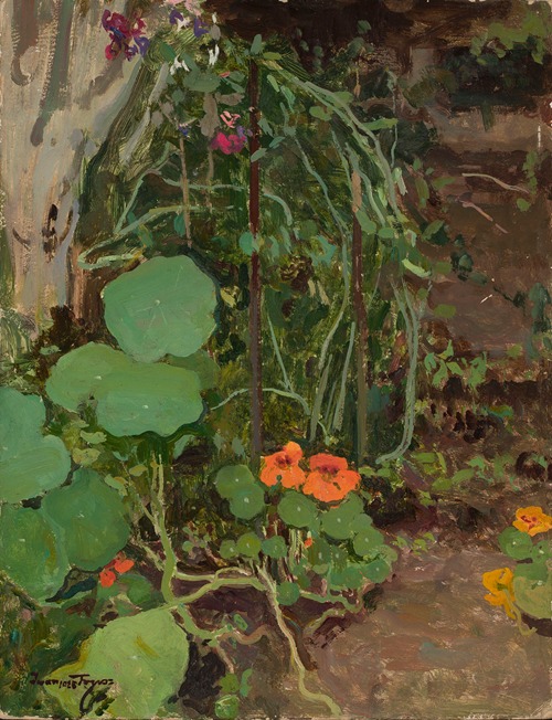 Nasturtiums III