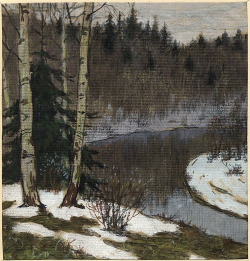 Thawed Patches in the Taiga near Krasnoyarsk. Early Spring.