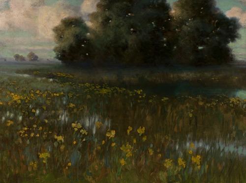 Cowslips in a meadow – Marshes