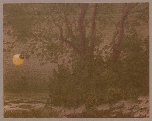 Moony night