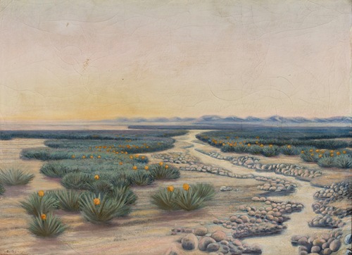 Springtime in the Sahara Desert