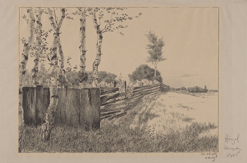 Along the Fence
