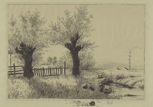 Willows