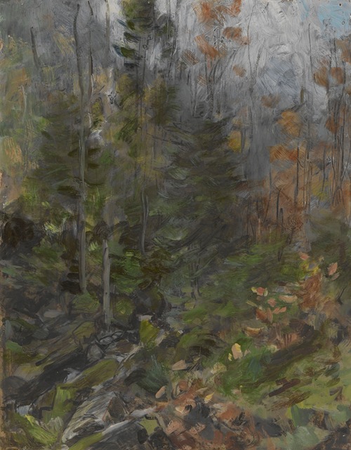 Autumn in the vicinity of Wrzosówka