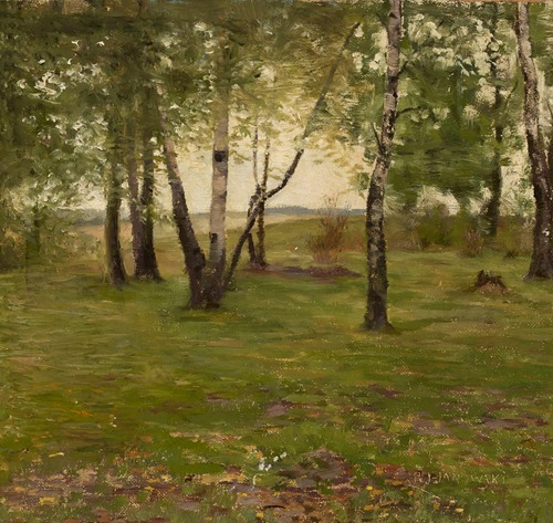 Birch trees