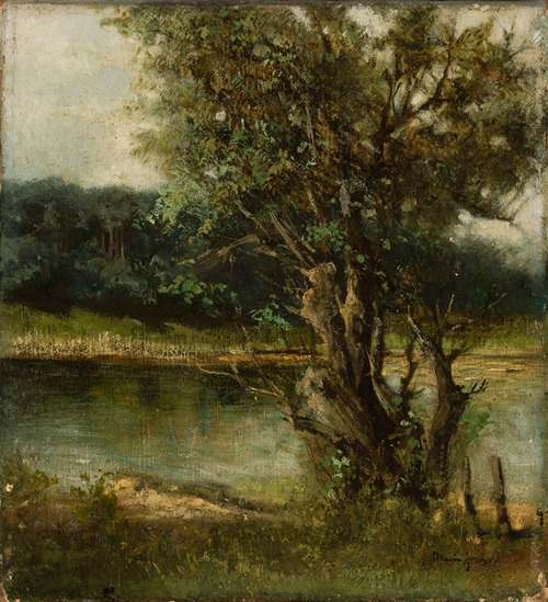 Tree at waterside