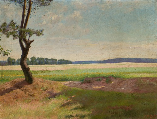 Landscape with a pine tree