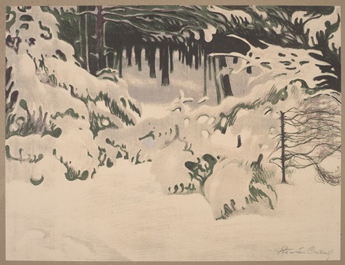 Forest in winter