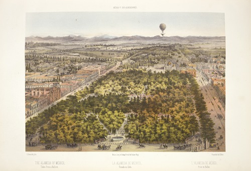 The Alameda of Mexico, taken from a balloon.