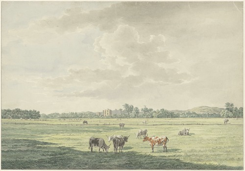 Landschap met weiland en koeien op de voorgrond en in de verte de ruIne van Brederode