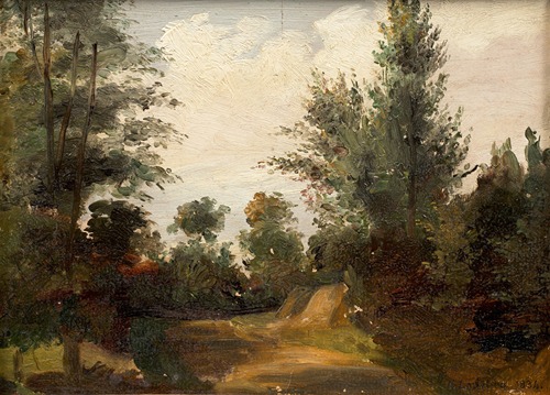 Paysage de sous-bois