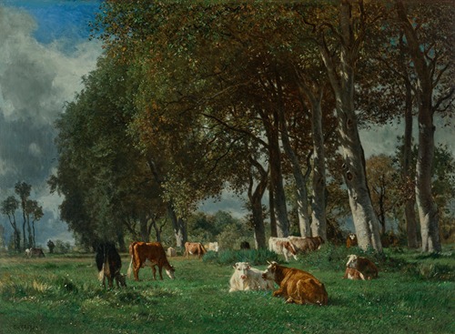Vaches sous bois
