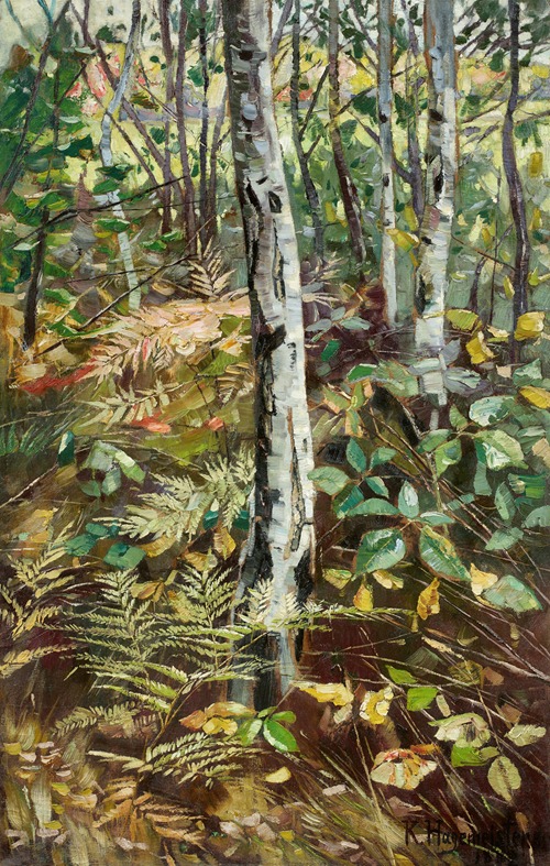 Birkenwald