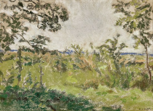 Paysage