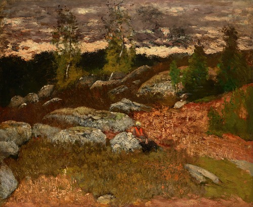 Forest Landscape